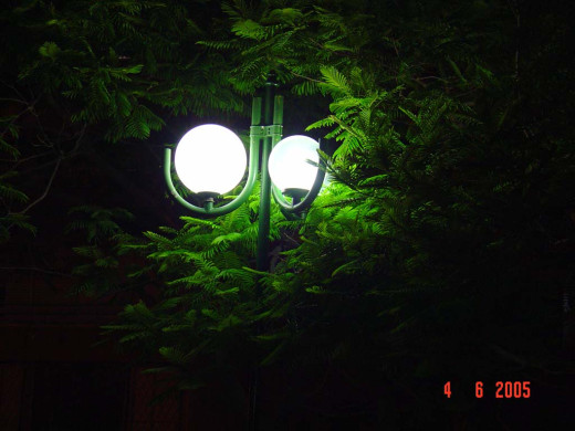 22312 (a): :1024x768
